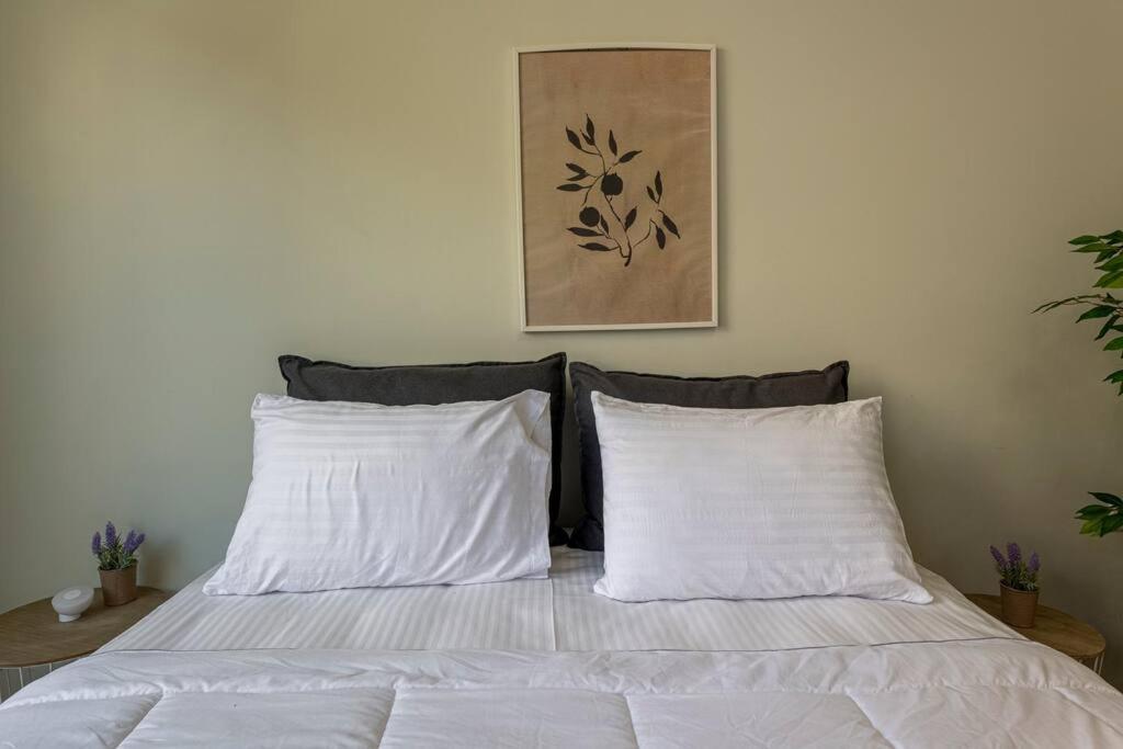 Smart Apartments 雅典 外观 照片